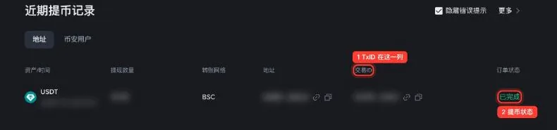 币安近期提币记录,标注了交易 ID 列与提币状态,金额与地址已打码