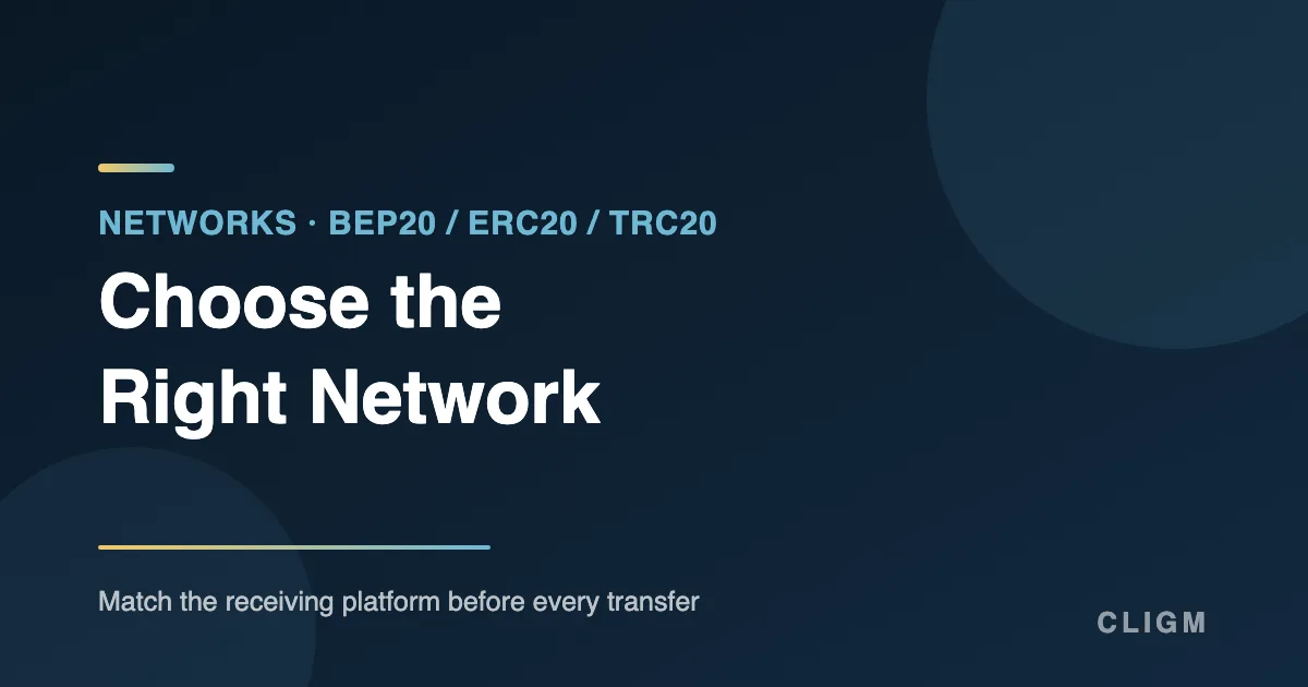 BEP20 vs ERC20 vs TRC20: How to Choose the Right Network